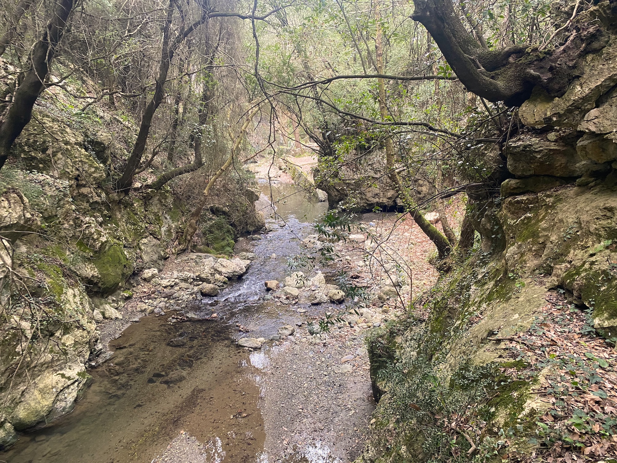 Patsos Gorge